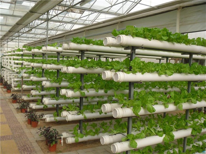石河子市植物工厂种植槽 - 哪里好
