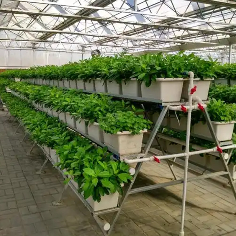 石河子市植物工厂植物工厂 - 厂家